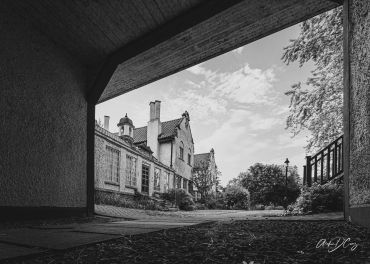 Adamson Estate