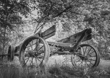 Riverwood wagon