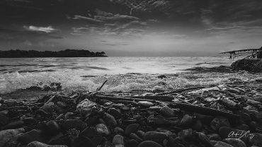 Waves