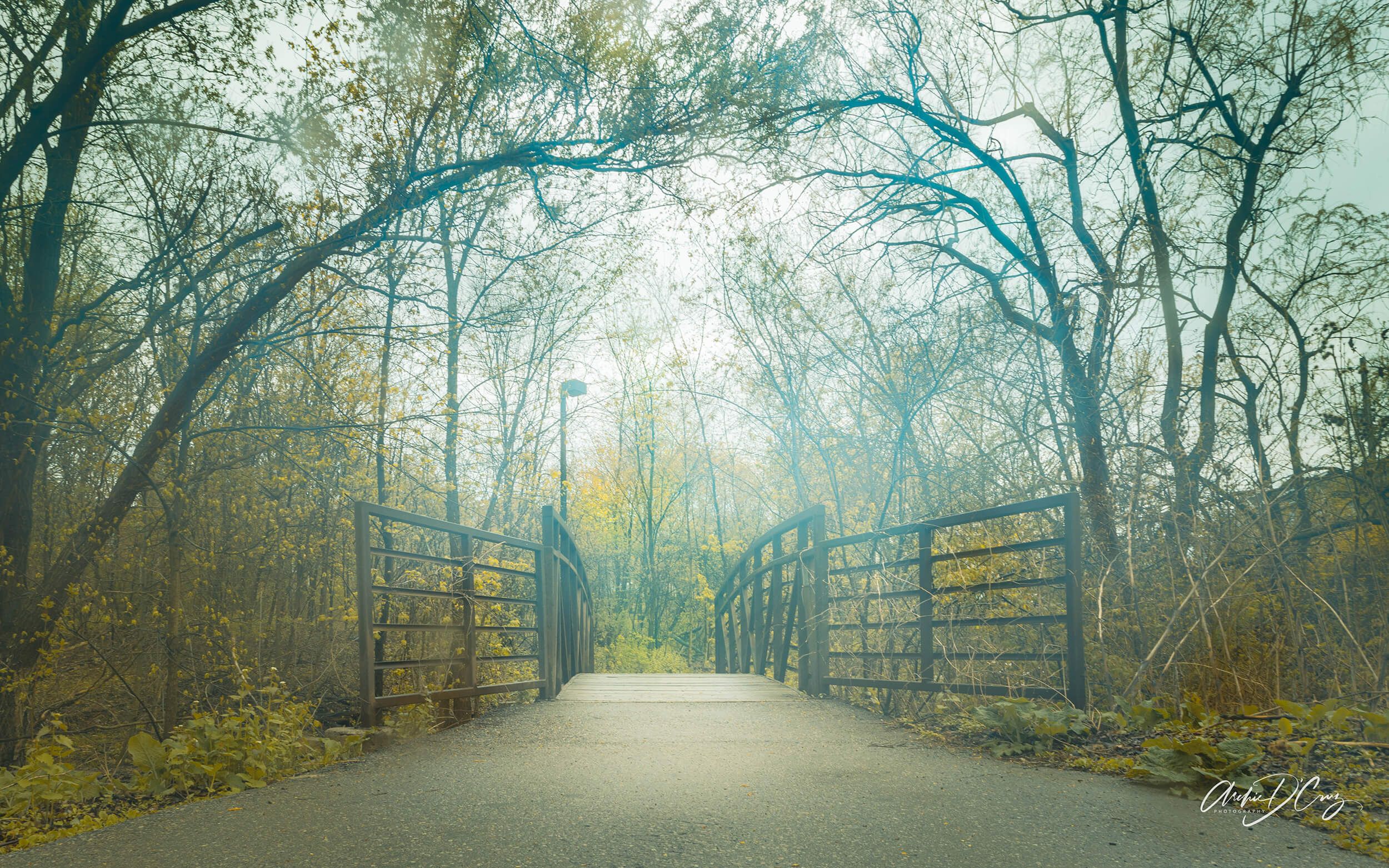Dunn Park bridge