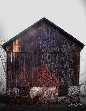 Barn near Bradley Museum