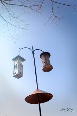 Bird feeders outside Snug Harbour restaurant on the Lakeshore