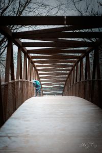 Walkway Bridge, Erindale Park