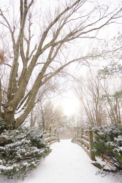 Kariya Park bridge