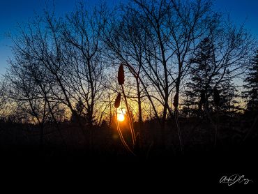 Blue Hour over the Credit River