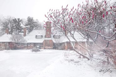 Snow-topped staghorn sumacs add a dash of colour to the landscape around Chappell House, a 90-year-old heritage house on the Credit River.
