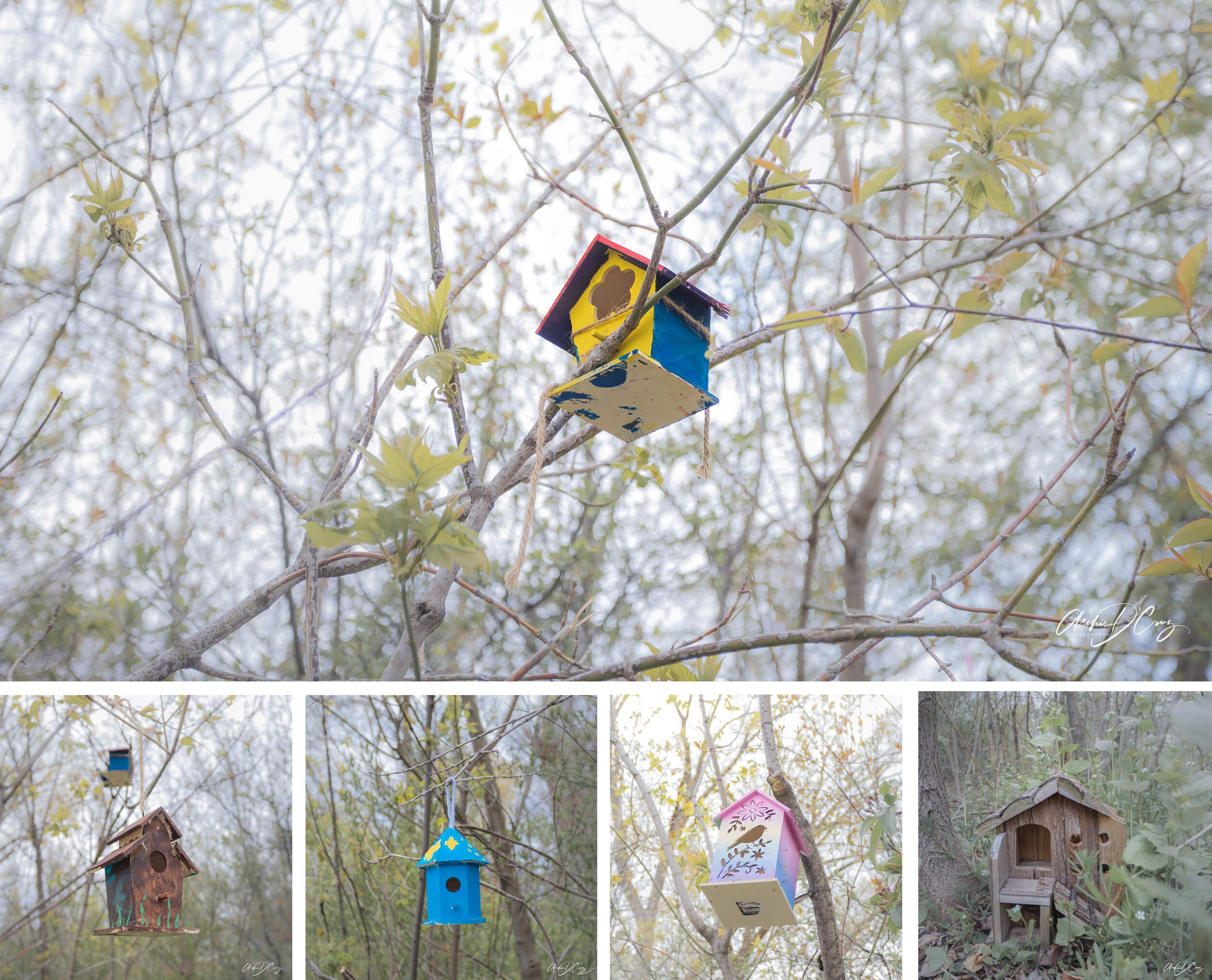 Birdhouses at Brueckner Rhododendron Garden, Mississauga