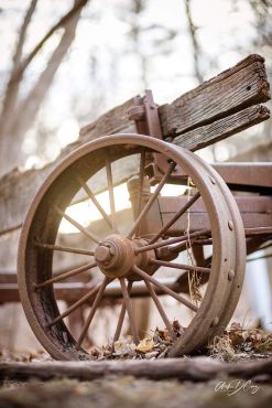 Riverwood wagon
