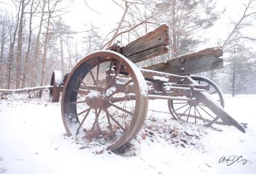 Wagon at Riverwood Conservancy