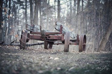 Riverwood Conservancy wagon